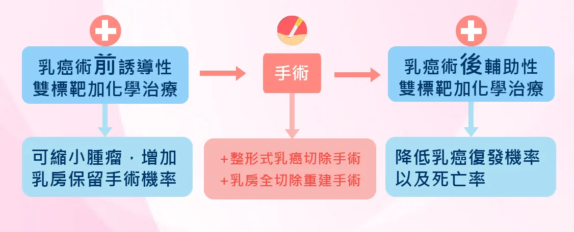 乳癌雙標靶加化療輔助治療