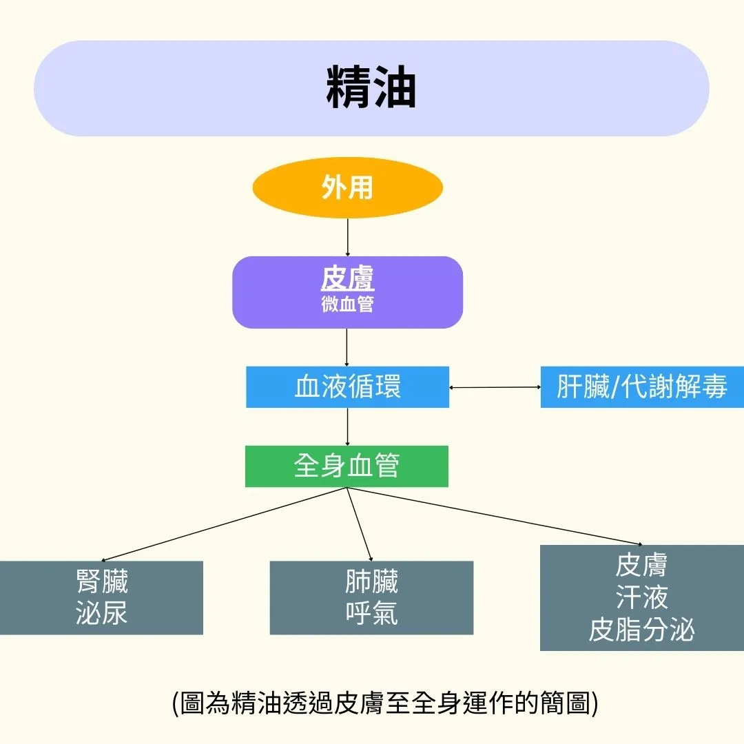 芳香療法（Aromatherapy）